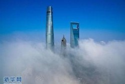 大雾吃瓜,吃瓜群众如何应对这场信息风暴