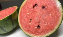 吃瓜和被吃瓜的区别,两种视角下的社会现象解析