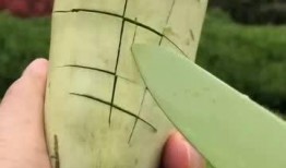 吃瓜声音声控,揭秘娱乐圈幕后风云