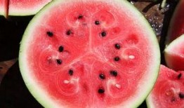 吃瓜反被瓜咬案例,揭秘网络谣言背后的真相