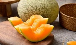 透析患者吃哈密瓜,透析患者食用哈密瓜的注意事项与风险分析