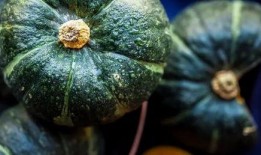 白胖吃瓜,揭秘娱乐圈的甜蜜瓜田