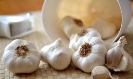 辛子吃瓜,揭秘娱乐圈背后的那些事儿