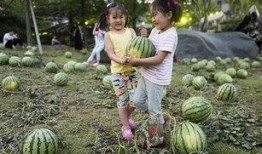 吃瓜讨论中心,揭秘娱乐圈幕后故事