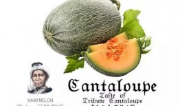 超级吃瓜号,超级吃瓜号带你领略幕后风云