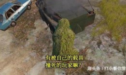 碣石吃瓜事件,一场引发社会热议的网络风波