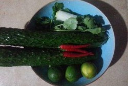 酸瓜梗怎么吃,家常美味制作指南