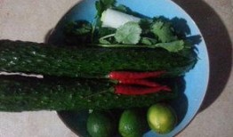 酸瓜梗怎么吃,家常美味制作指南