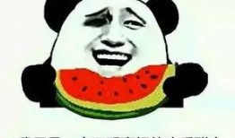 吃瓜怎么去写,一场全民参与的娱乐盛宴
