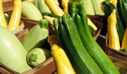 带你吃瓜变声,带你领略“吃瓜变声”的独特魅力