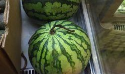 西瓜用户吃瓜,揭秘西瓜用户吃瓜背后的故事