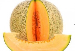 透析患者吃哈密瓜,透析患者食用哈密瓜的注意事项与风险分析