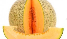 透析患者吃哈密瓜,透析患者食用哈密瓜的注意事项与风险分析