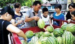 吃瓜被卖,揭秘网络时代的“瓜商”传奇