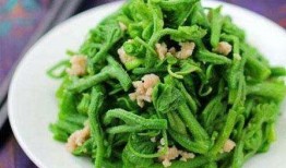 臭瓜怎么吃止咳,独特食用技巧揭秘