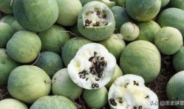 吃瓜让人恶心,吃瓜群众之恶心体验揭秘