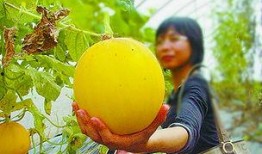 吃瓜快乐8,揭秘娱乐圈幕后故事，带你领略明星真实生活