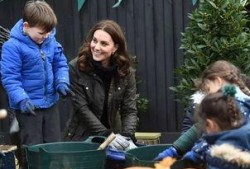 haley吃瓜群众,吃瓜群众的视角，揭秘娱乐圈风云