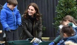 haley吃瓜群众,吃瓜群众的视角，揭秘娱乐圈风云