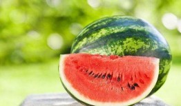 last吃瓜,娱乐圈最新热点事件深度剖析