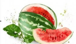 甜美吃瓜,揭秘甜美吃瓜的诱惑与魅力