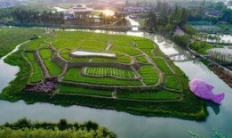 乌镇吃瓜,揭秘古镇里的美食传奇