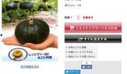 带你吃瓜奇葩淘宝广告,带你领略“吃瓜”界的奇葩风采