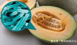 煮熟吃哈密瓜,探索哈密瓜的熟食魅力