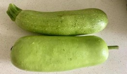 立秋吃三瓜有什么瓜呀,品味三瓜养生之道