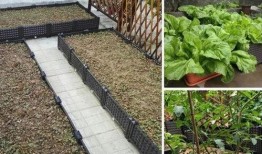 东营楼顶吃瓜,夏日纳凉新风尚