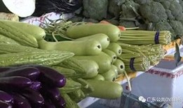 送菜吃瓜,共享美食，共度欢乐时光