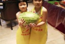 吃瓜大富豪,揭秘财富背后的娱乐帝国