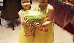 吃瓜大富豪,揭秘财富背后的娱乐帝国