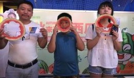 心声吃瓜结局,揭秘吃瓜群众的终极结局