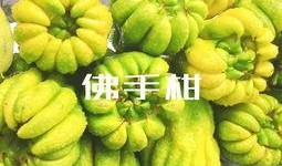 牌坊街吃瓜,探寻老街美食风情