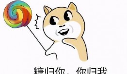 不要过于吃瓜,专注自我成长