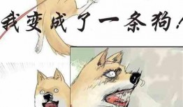 无害吃瓜小说,一场无害的吃瓜盛宴