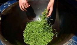 于正吃瓜绿茶图,揭秘娱乐圈背后的恩怨情仇