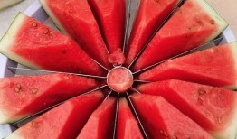 都市吃瓜迷,揭秘娱乐圈背后的秘密与八卦风云