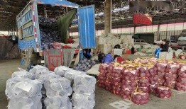 寿光最新吃瓜事件,真相竟如此惊人！