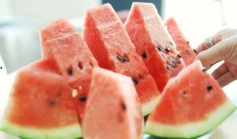 吃瓜长知识捷克,揭秘捷克的历史与文化