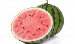 孕妇可以吃麒麟瓜吗,营养与安全的双重保障