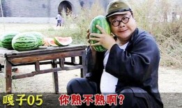 胖子翻译吃瓜视频大全,笑料横生的欢乐时光