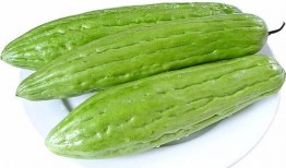 送菜吃瓜,共享美食，共度欢乐时光