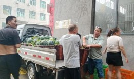 浙江永康吃瓜,探寻浙江永康的独特“吃瓜”文化