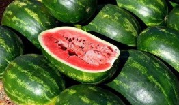 吃瓜手工材料,揭秘吃瓜手工材料的魅力与制作技巧