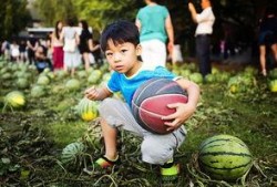 吃瓜讨论中心,揭秘娱乐圈幕后故事