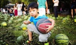 吃瓜讨论中心,揭秘娱乐圈幕后故事