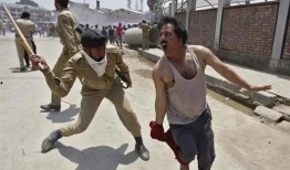 在印度吃瓜群众,吃瓜群众的日常百态