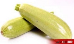 白瓜能如何吃,探索美味与健康的完美结合